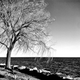 Illustration for article titled Shooting Challenge: BlackWhite 16